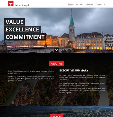 Team Capital Consultant